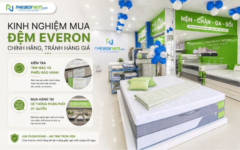Đại lý phân phối đệm Everon chính hãng 